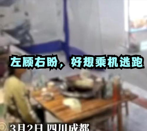 浙江情侣吃饭飞奔逃单，店主曝光监控却仍收不到钱！