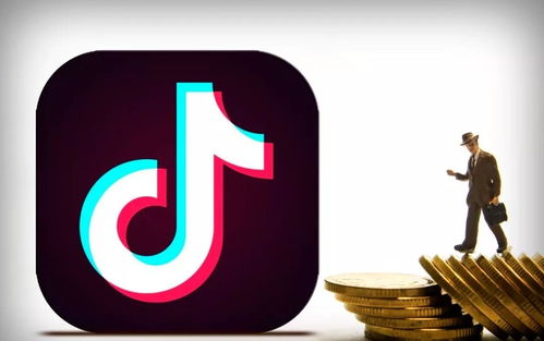 台湾网红馆长入驻抖音引发热议