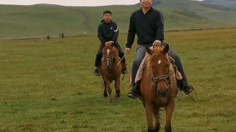 丁真扶贫，他是理塘的真男人！