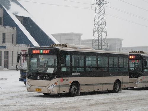 老人免费乘公交受限，背后真相引深思！
