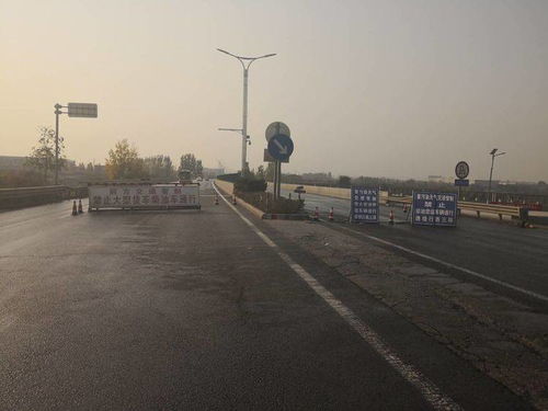 镇政府工作人员忙碌的身影