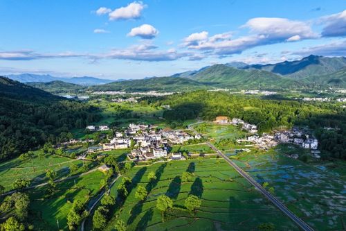 抖音：见证中国经济活力的独特窗口