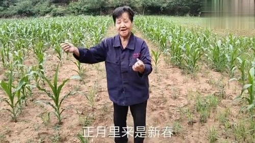 116岁！在世最长寿老人的传奇人生