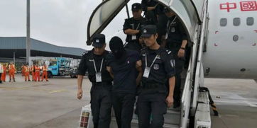 间谍人员被押解