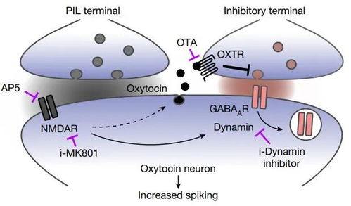 心力提升示意图