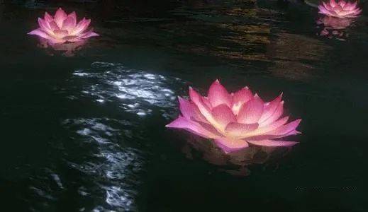 河灯在水面漂浮