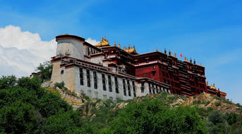 西藏：在雪域高原上书写中国式现代化新篇章