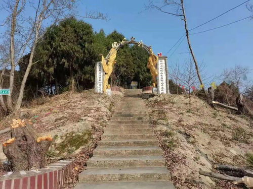 陡峭的山壁环绕溪流