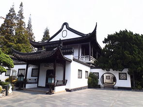 80元门票玩三天！中式迪士尼爆火的秘密