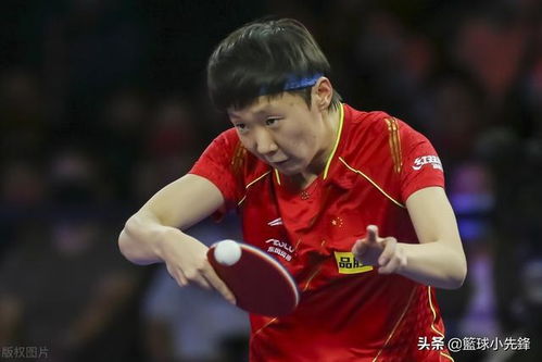 孙颖莎王曼昱：女双赛场的无敌组合