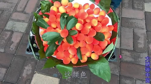 高价进口水果不再高高在上！