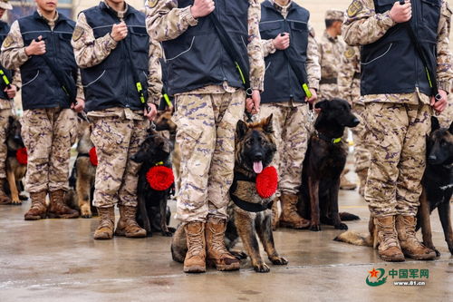 阅兵场上那震撼人心的一个脚步声