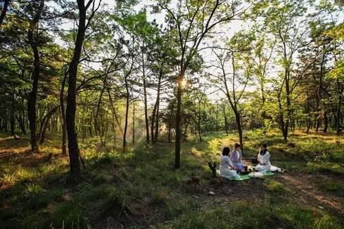 人在山林中漫步