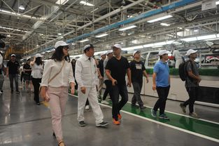 东风集团股份一纸公告，市场风云再起！