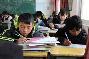 小学老师转战高中讲台，背后故事引深思