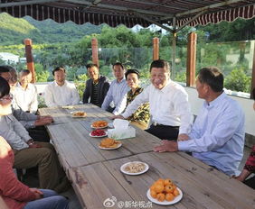 跟随镜头回顾习总书记西藏之行的难忘瞬间