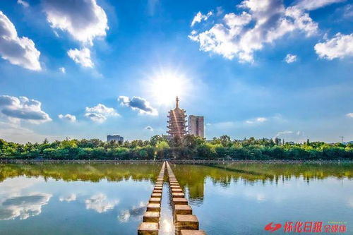 处暑：盛夏的告别仪式