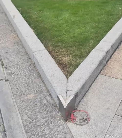 河南开封惊现危险花坛拐角！尖锐带钢片威胁市民安全