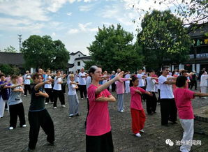 打太极拳的人群