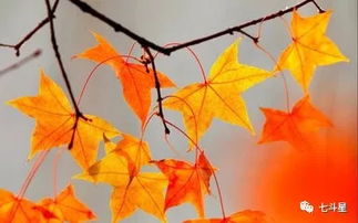 国家卫健委提醒：‘秋冻’要适度，这些养生要点你get了吗？