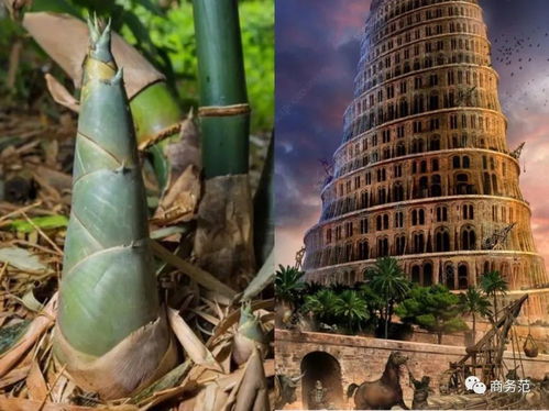 互联网大厂办公大楼