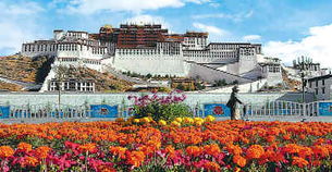 聚焦西藏：深入解读稳定、发展、生态、强边四件大事