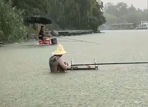 钓鱼佬最向往的场景，竟在抖音上火了！