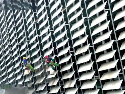 炽夏官宣：一场震撼人心的音乐盛事