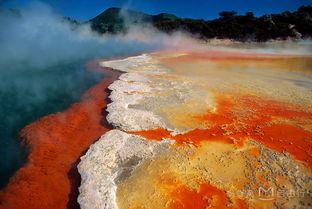 探索黄石公园：书本里的奇妙之旅