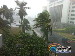 台风‘剑鱼’肆虐！三亚建筑门窗受损，多举措应对危机
