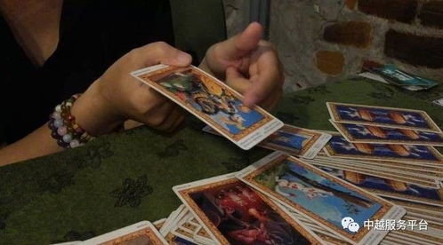 年轻人玩塔罗牌