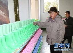 朝鲜援俄阵亡人数公开，乌韩被打脸，背后真相令人深思