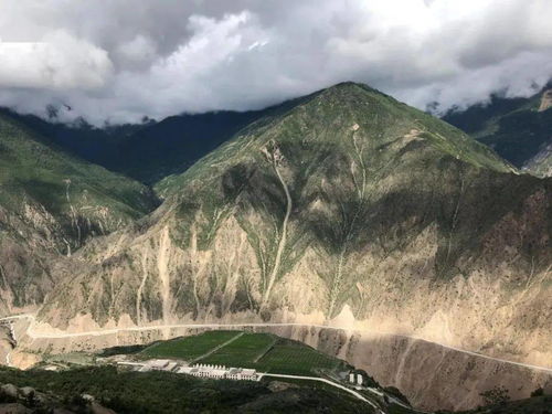 雪域情深：河北援藏的动人故事