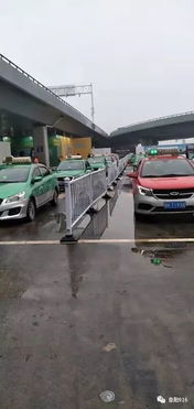 乘客误付巨款，的哥选择报警！背后故事令人深思