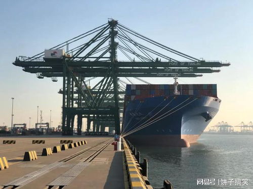 多组数据解读中国外贸超强‘韧’劲