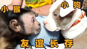 8月23日吧友乐子大赏！