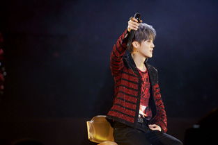 鹿晗演唱会惊险一刻！倒退至升降台边差点踩空