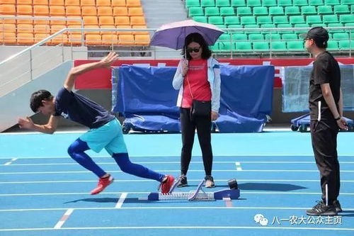 孙颖莎王曼昱：WTT瑞典站女双夺冠背后的精彩故事