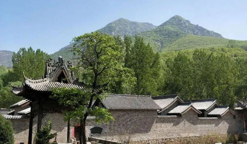 《生万物》：严肃文学改编的创新之作