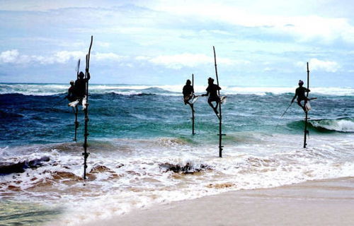 钓鱼佬海边垂钓