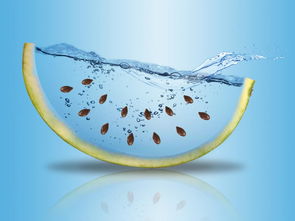 人在空调下吃西瓜