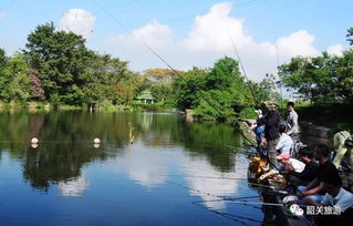 湖畔钓鱼环境优美
