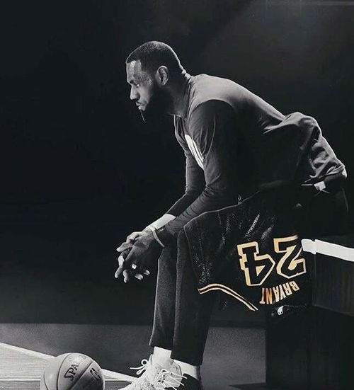 詹姆斯与科比同框