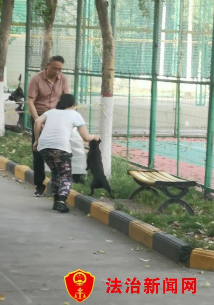 装在袋子里的小蛇