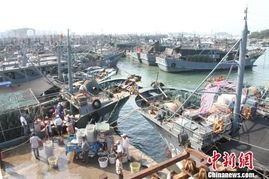 船只防台风场景