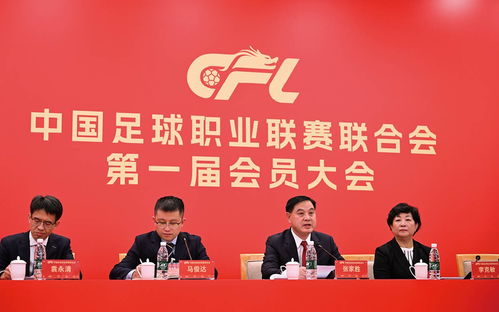 中国足协新规下的职业联赛变革之路