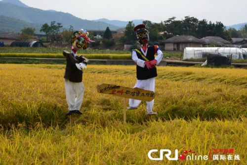 稻草人在田间跳舞