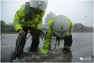 人们在转移车辆