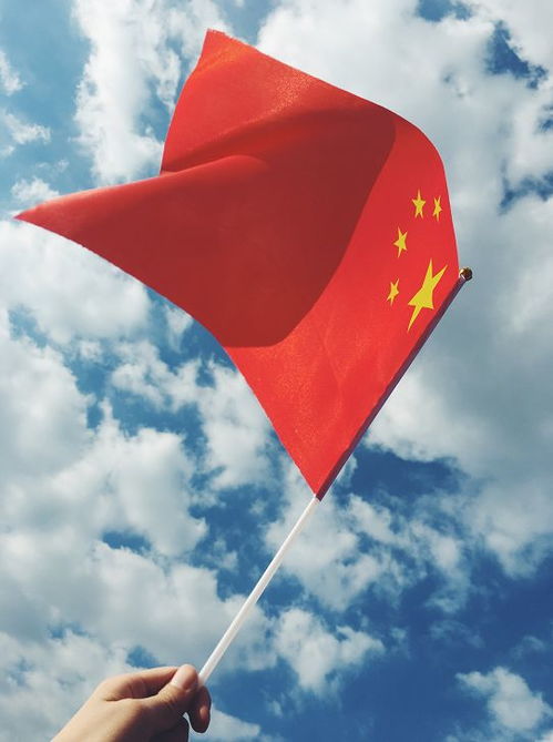 中国驻沙使馆声明：与某峰会无关联