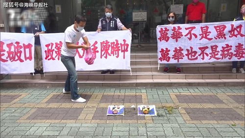 郑丽文：2028年民进党与赖清德恐被下架